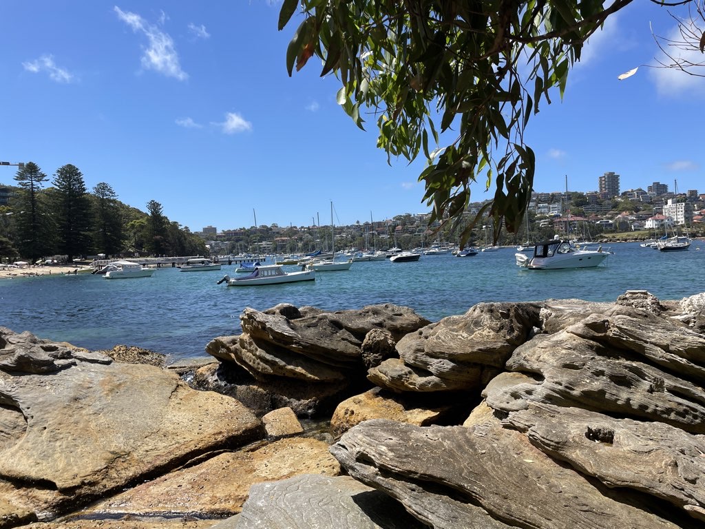BaLgowlah Hieghts cliff walk