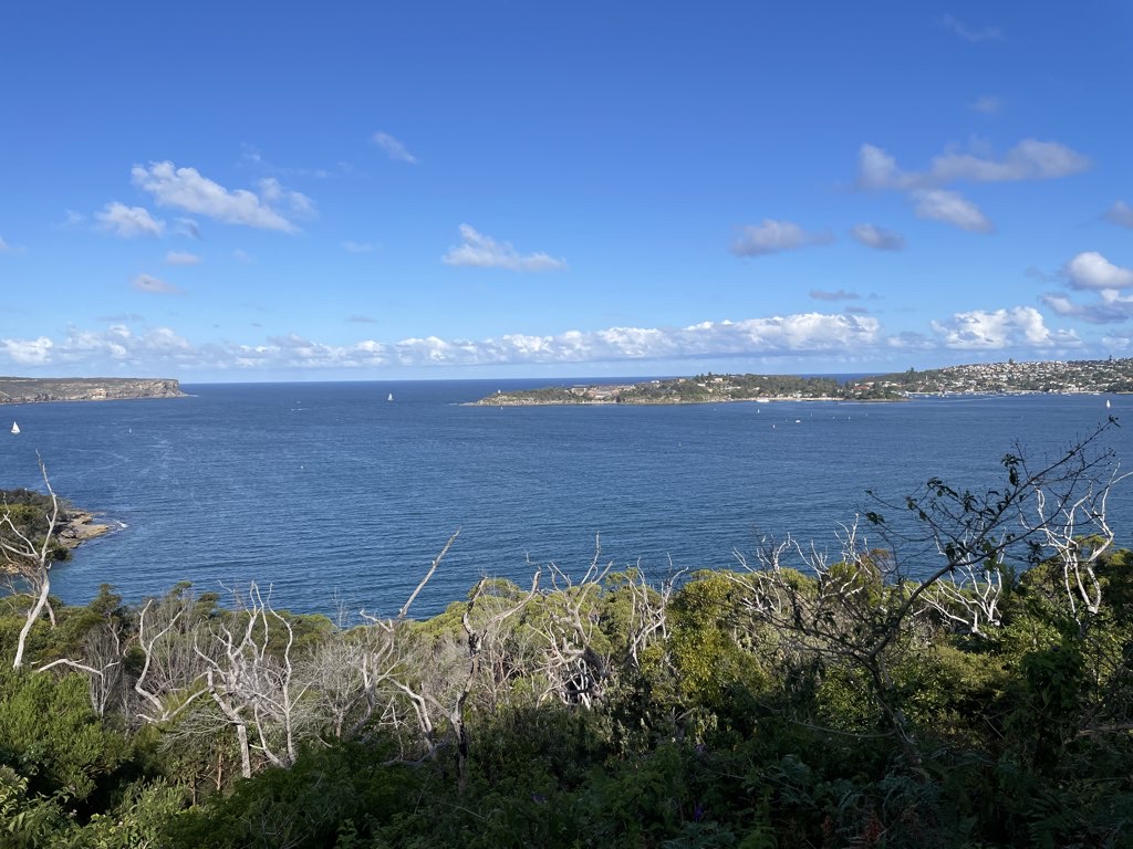 Mosman to Mona Vale