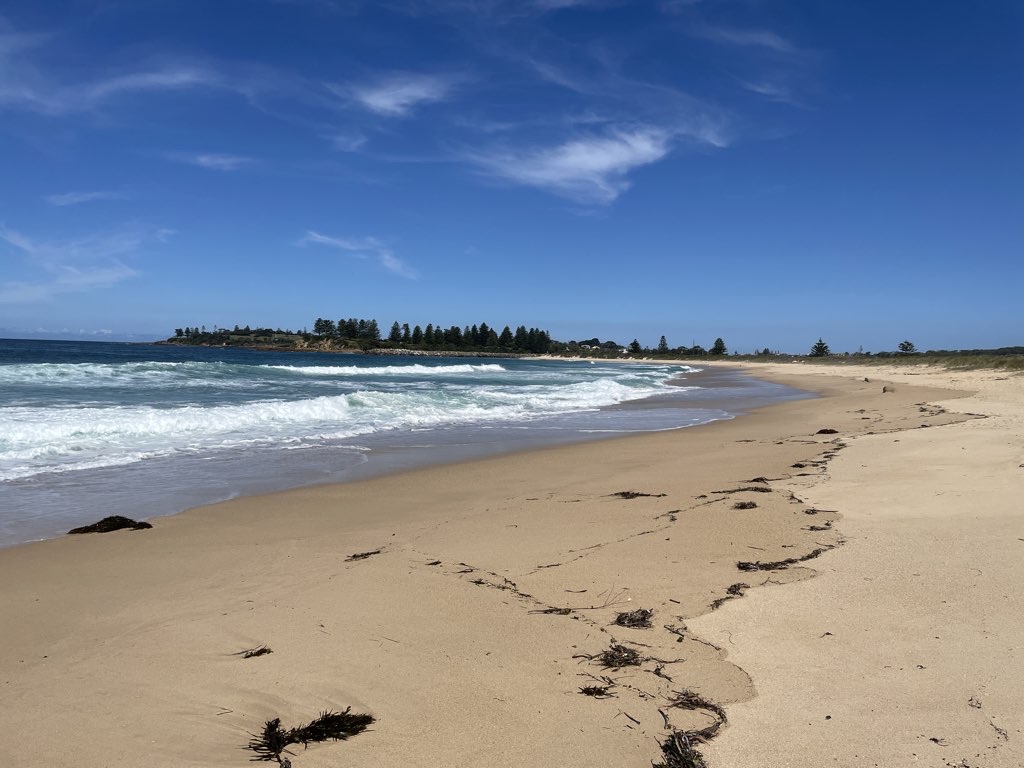 Bermagui