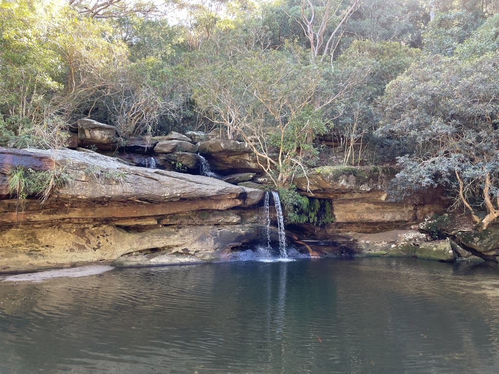 Warriewood Super loop