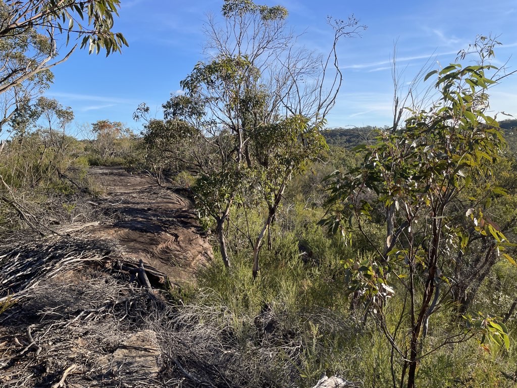 Terry Hills Duck Holes