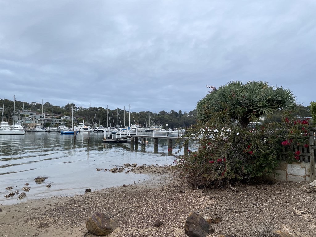Bayview circuit