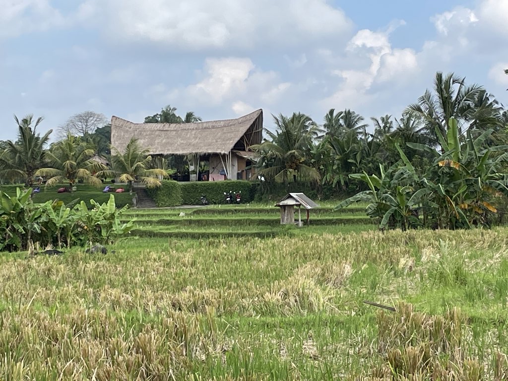 Ubud 2