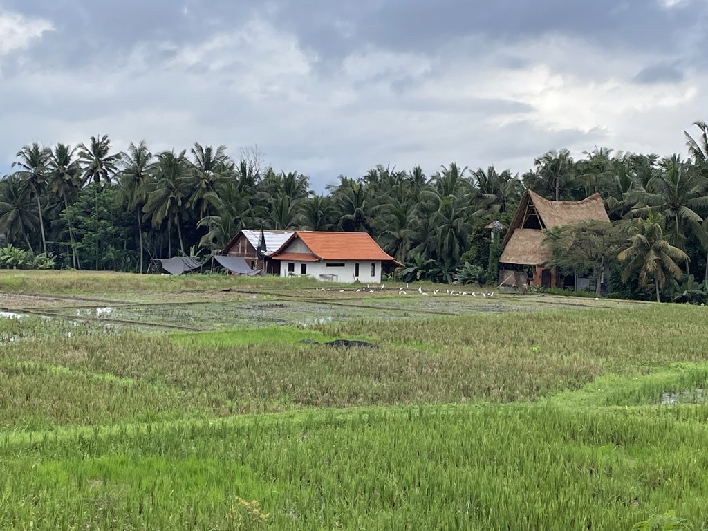 Ubud 7