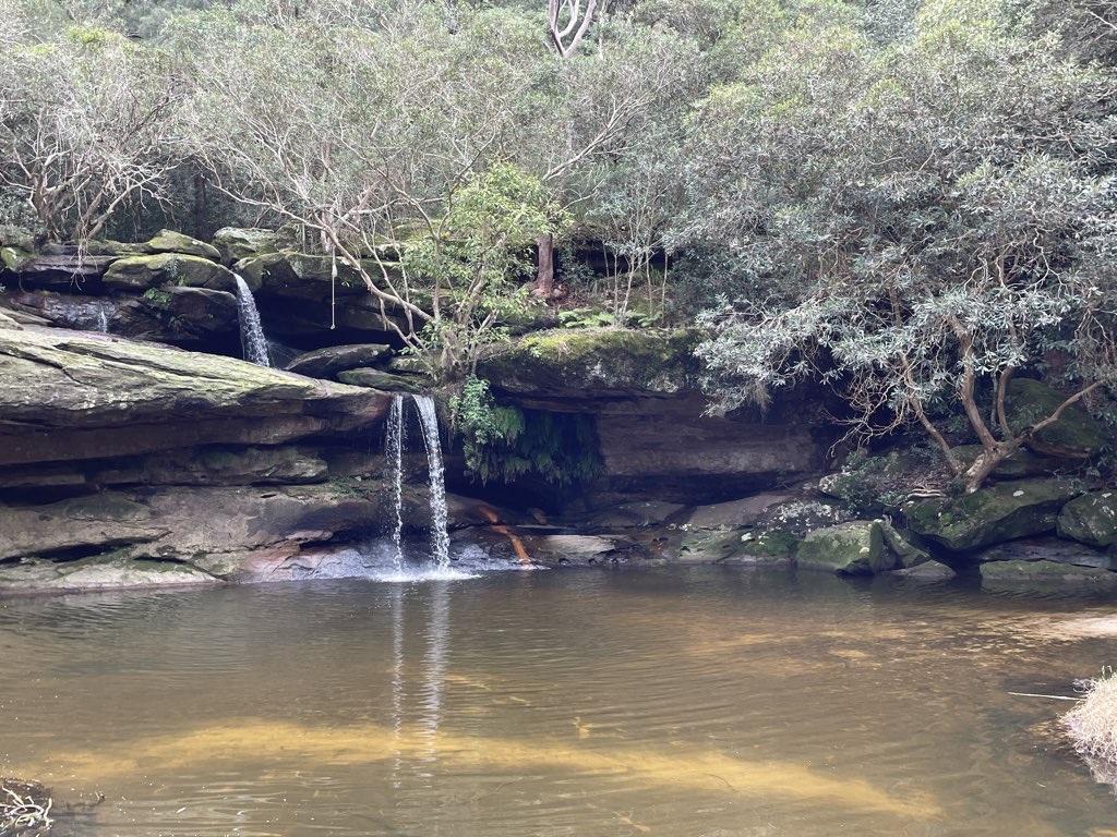 warriewood Wander 2