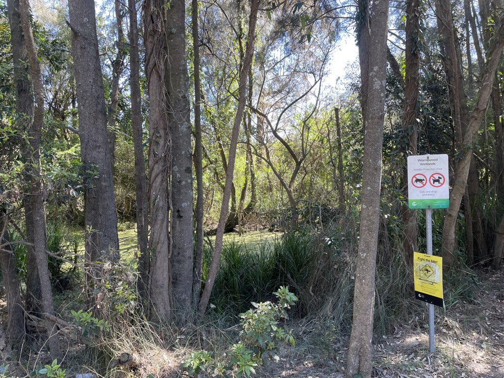 Warriewood Wetland Wander