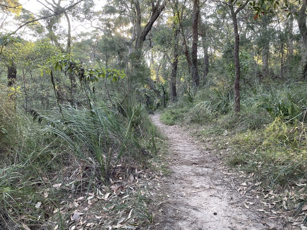 Harold Reid Foreshore Walk