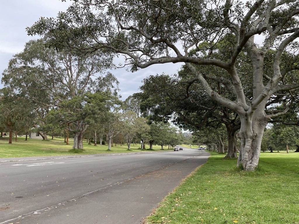 Centennial Park Circuit