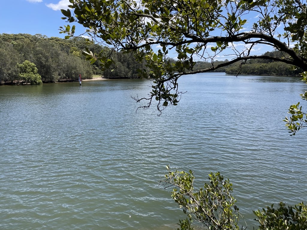 Lane Cove River Loop