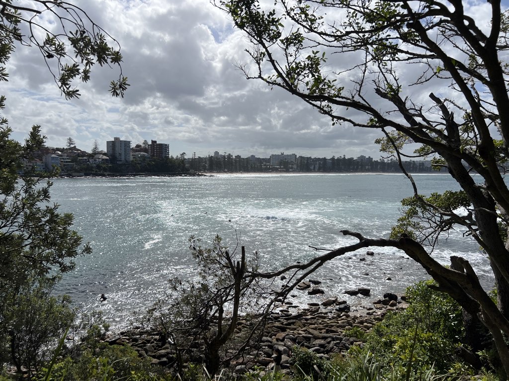 Freshwater to Shelley Beach