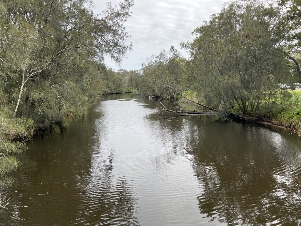 Warriewood Loop