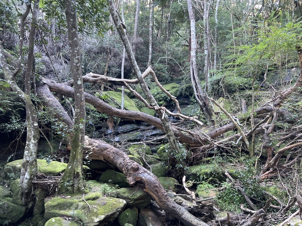 Two Creeks Track