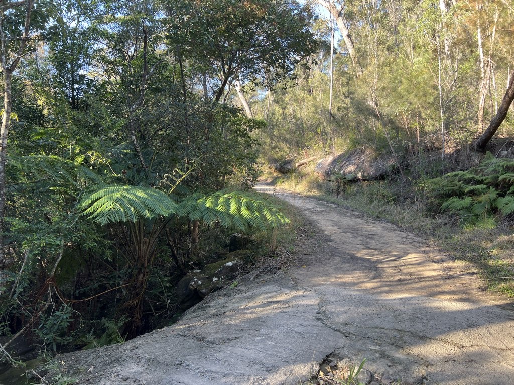 Two Creeks Track
