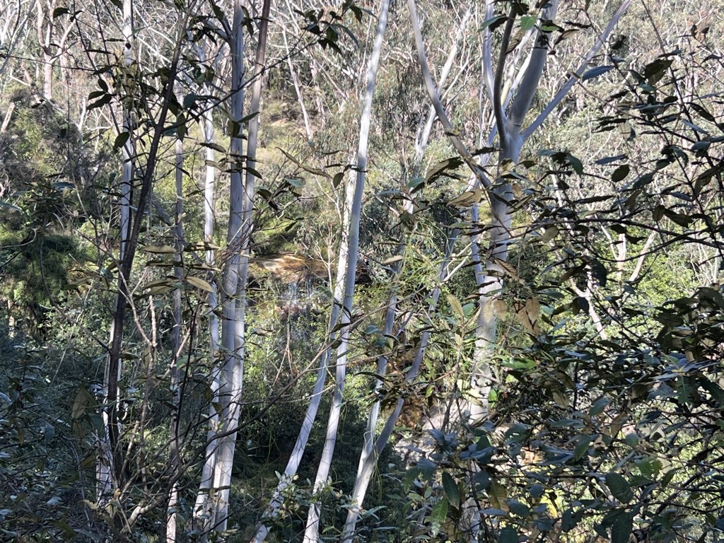 Five Waterfall Walk