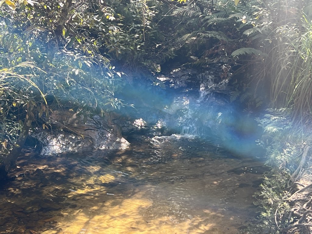Catarack Creek Loop