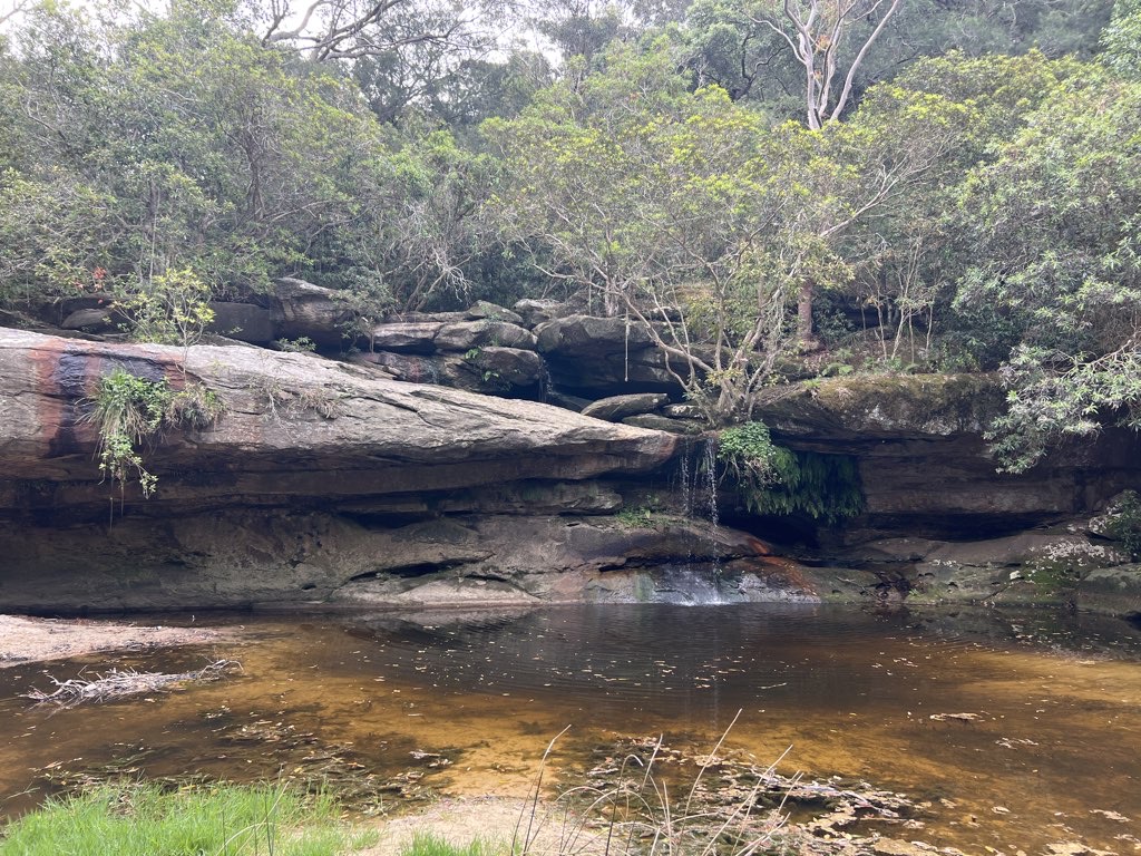 Warriewood Wetlands Wander