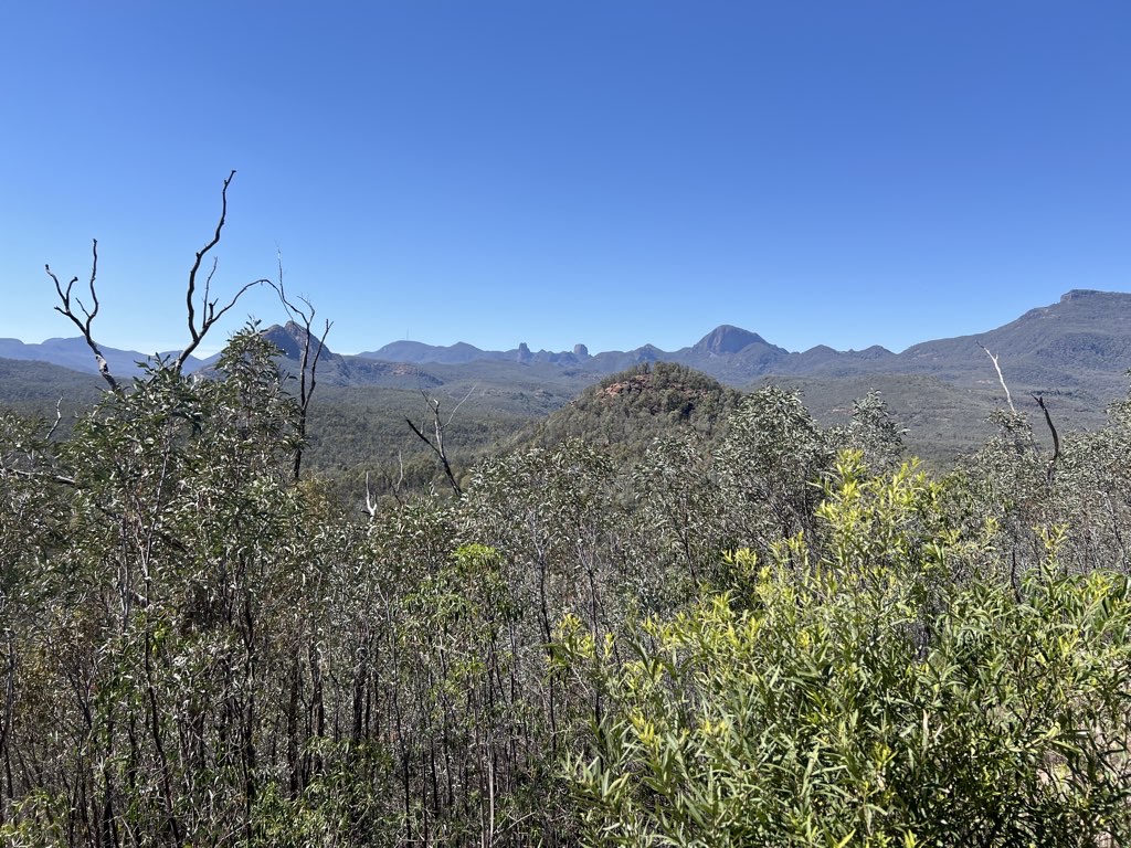 warrumbungles shorts