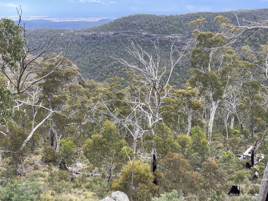 Bundabulla Loop