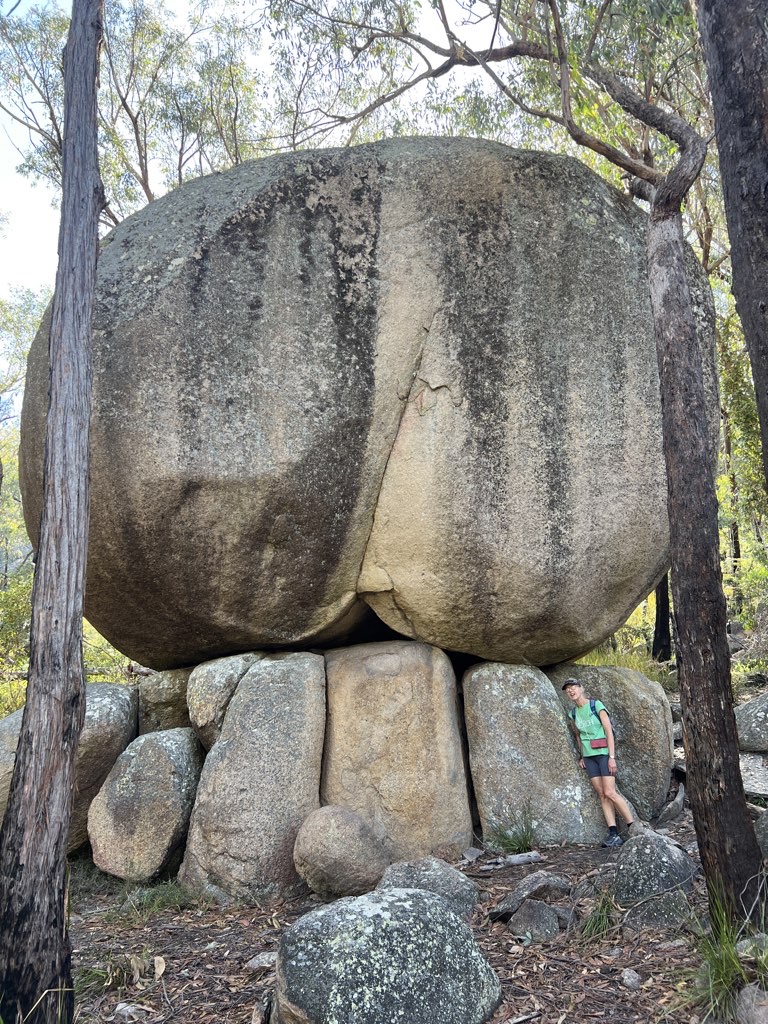 Castle Turtle Sphinx Rocks