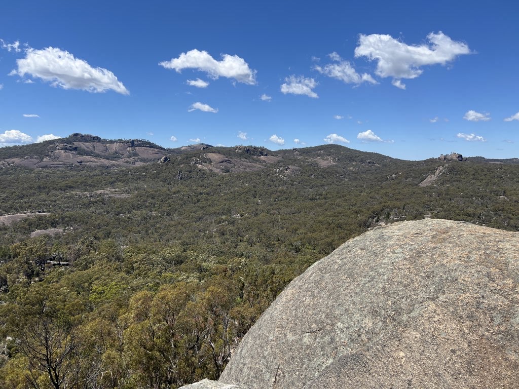 Castle Turtle Sphinx Rocks