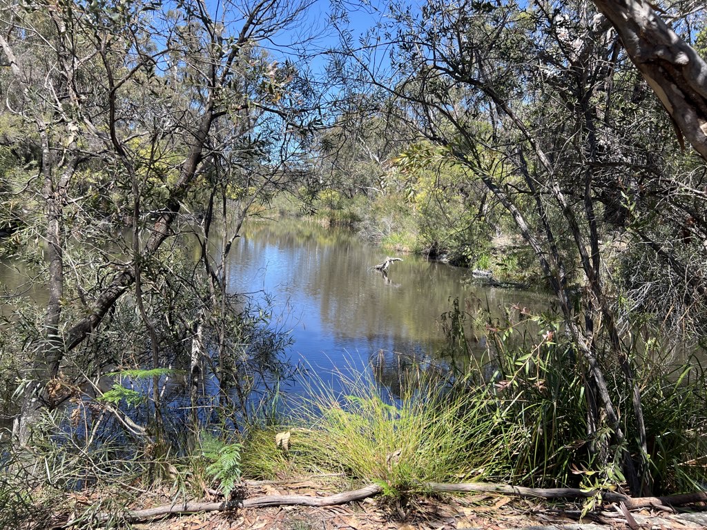 Girraween Eastern Walking Tracks