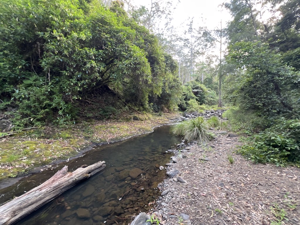 Down to the creek at Manna Gum