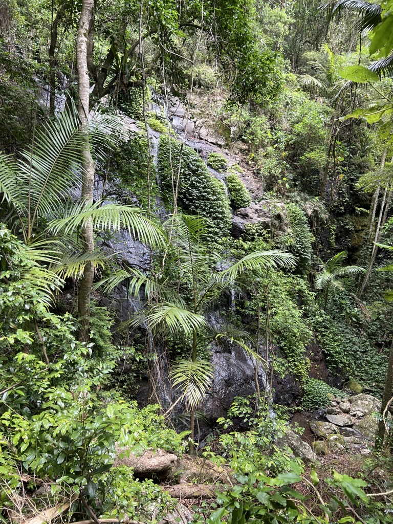 Hotspot name: number 3