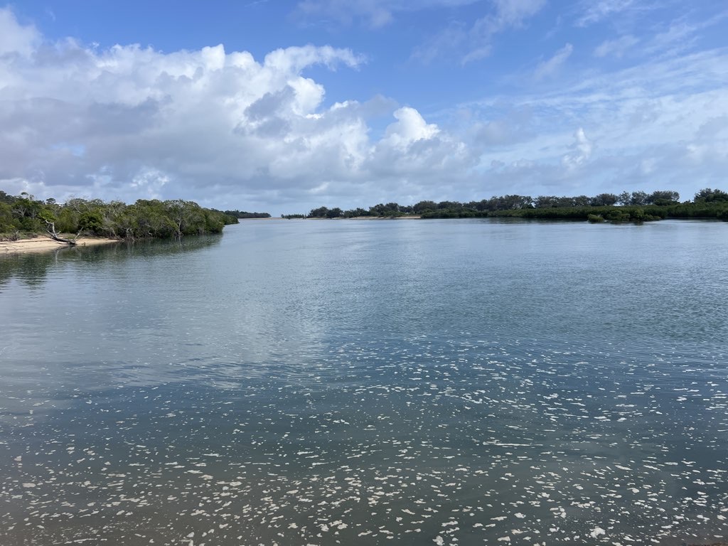 Wild Cattle Island Walk