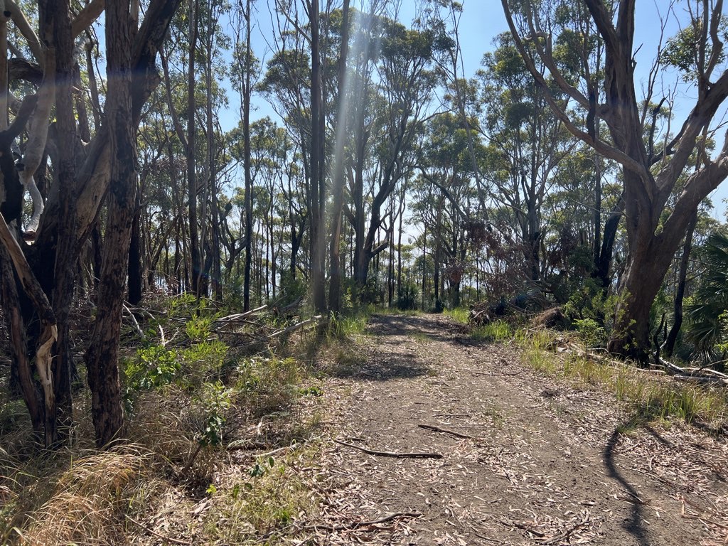 To Green Island Fire Trail