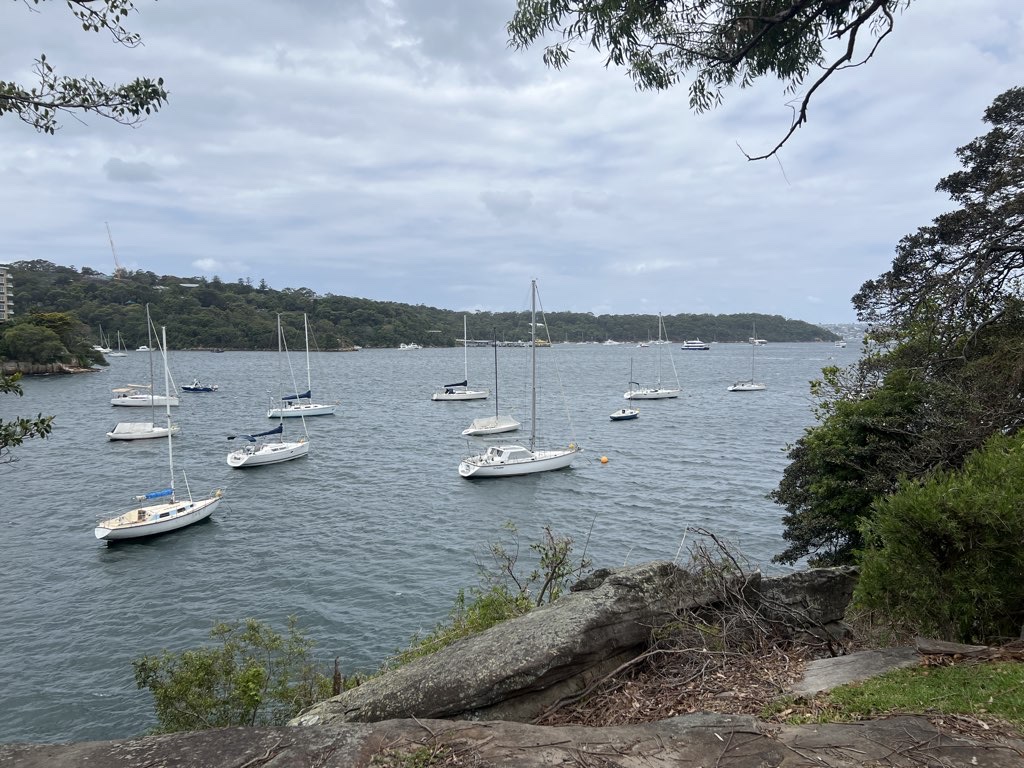 Cremorne to Bradleys Head