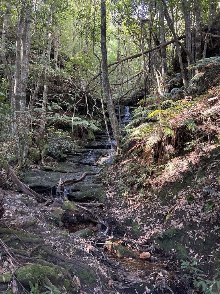 Grand Cliff Top Walk Part 1