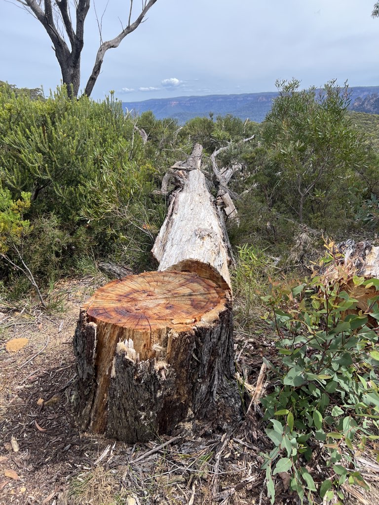 Grand Cliff top Walk Part 2