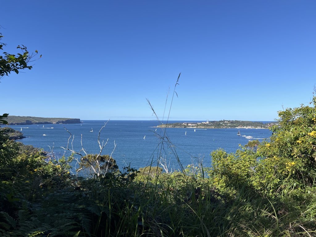 Middlehead 2