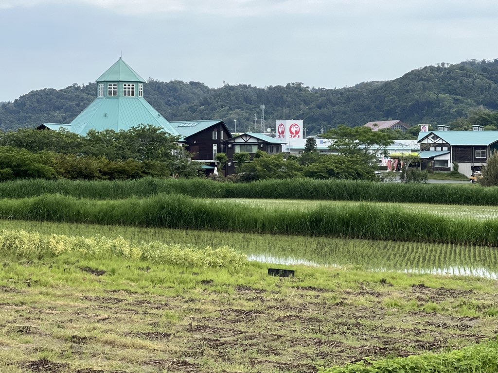 Tomiura