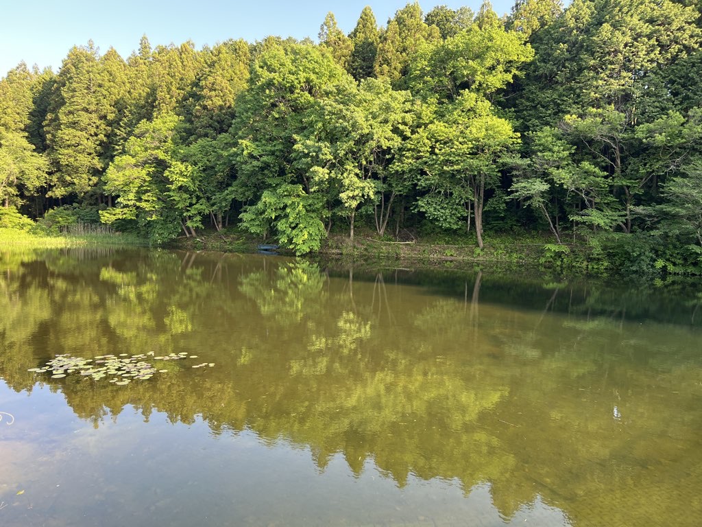 Mashiko Loop
