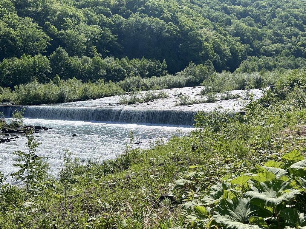 Blue River Walk
