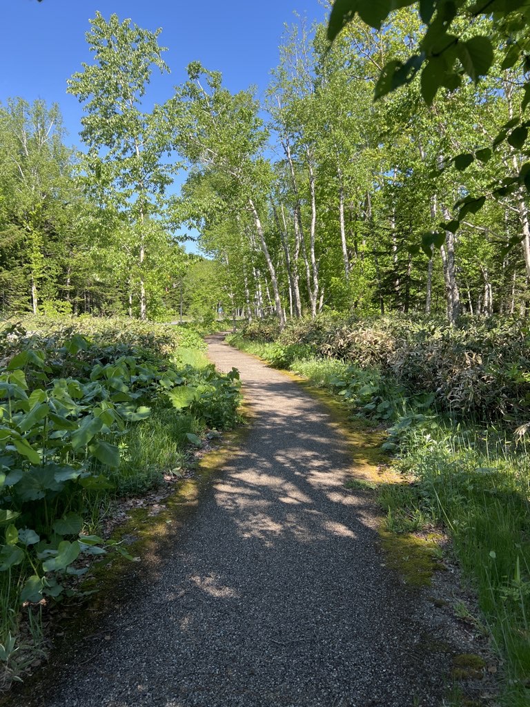 Blue River Walk