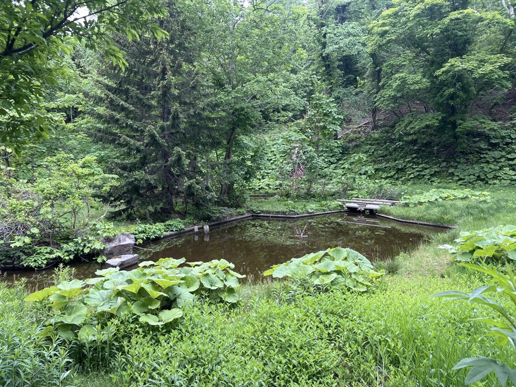 Rumoi Forest Walk