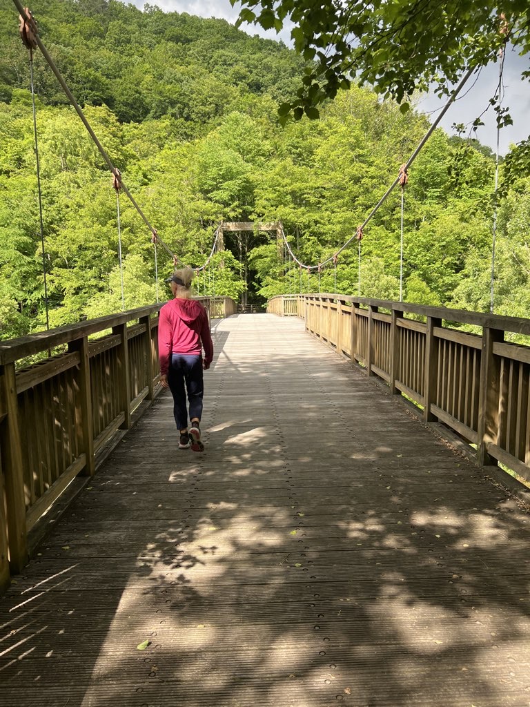 Encounter Bridge