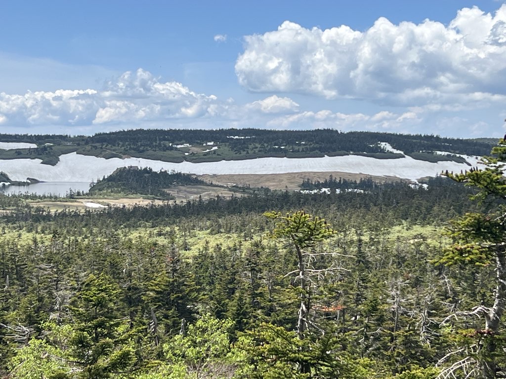 Mount Gentamorai