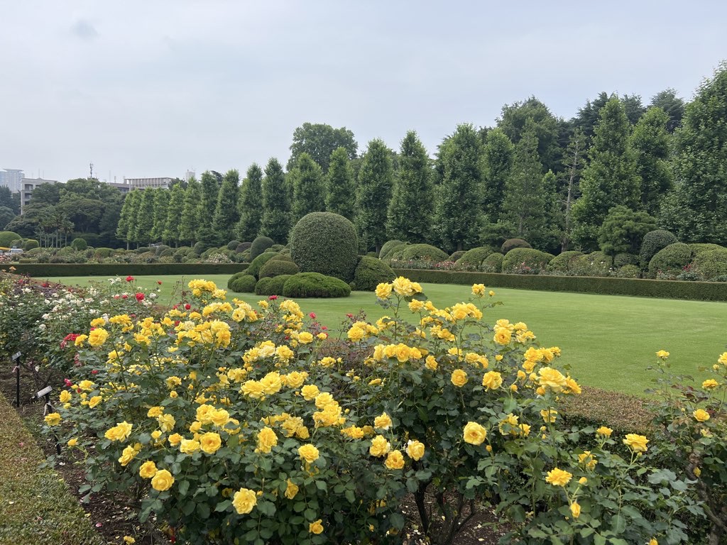 Tokyo Tour