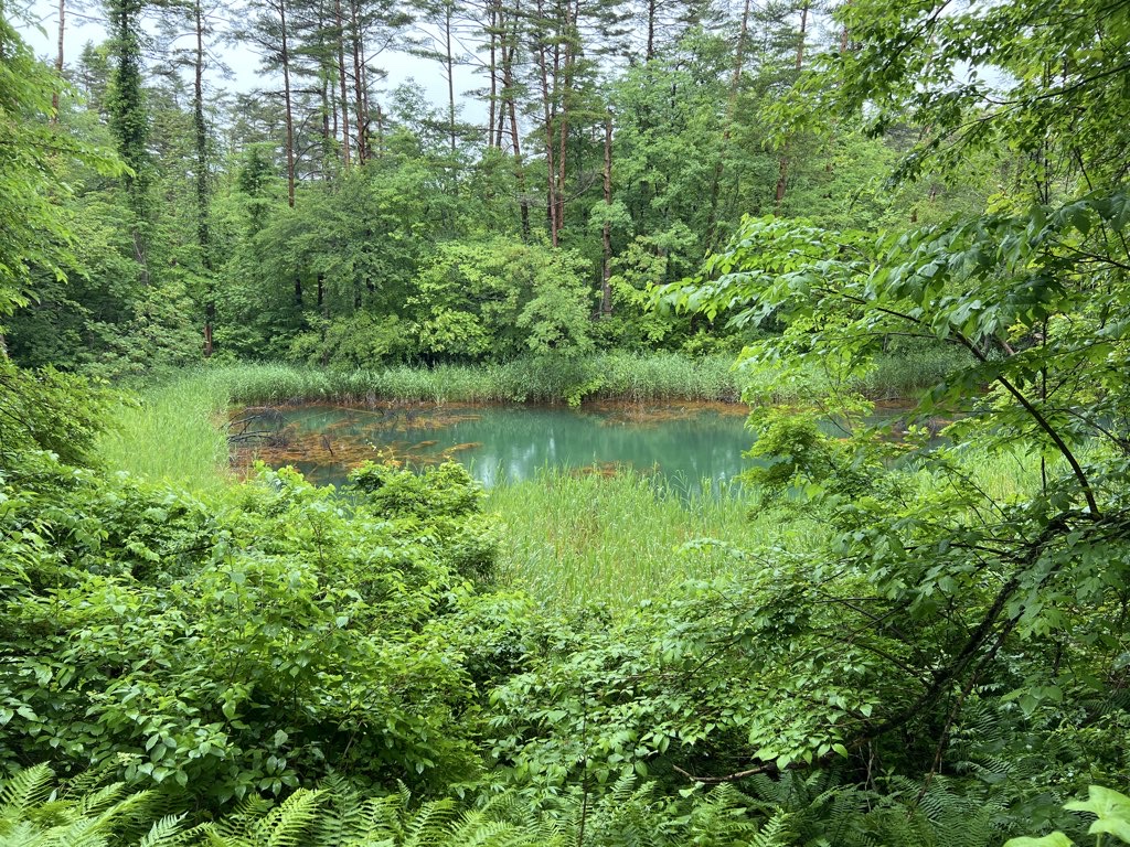 Five Coloured Lakes Walk