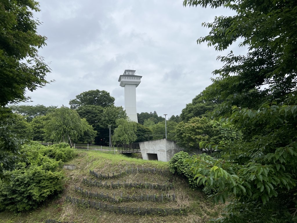 Sakura Park Walk