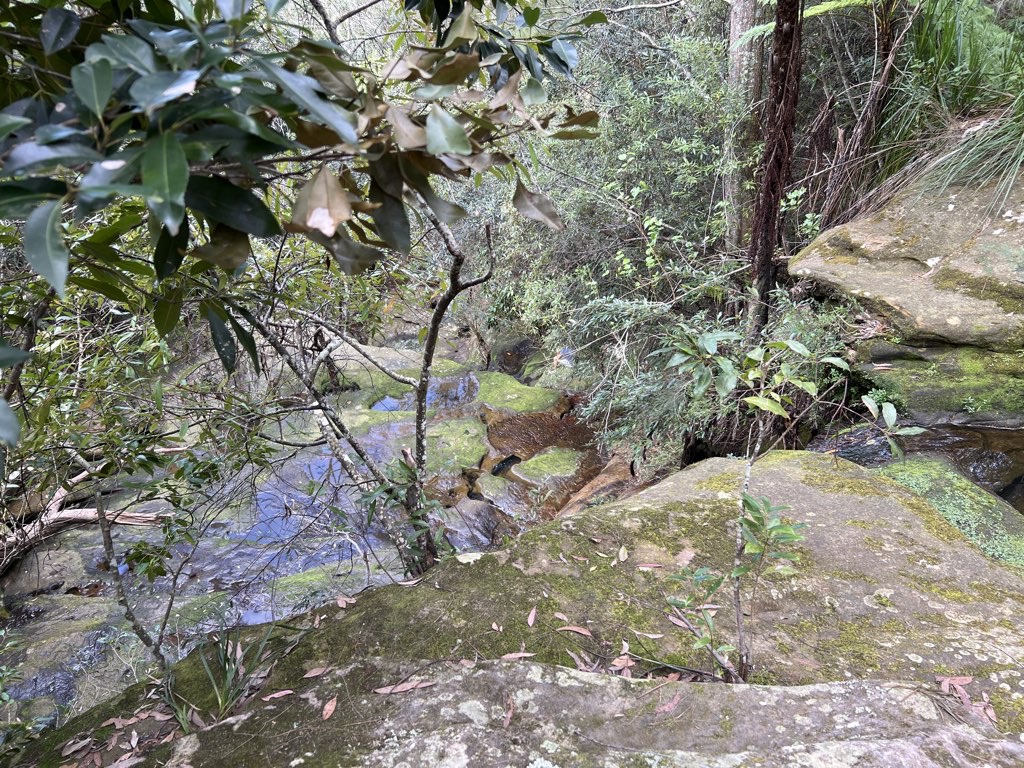 Exploring Allenby Falls