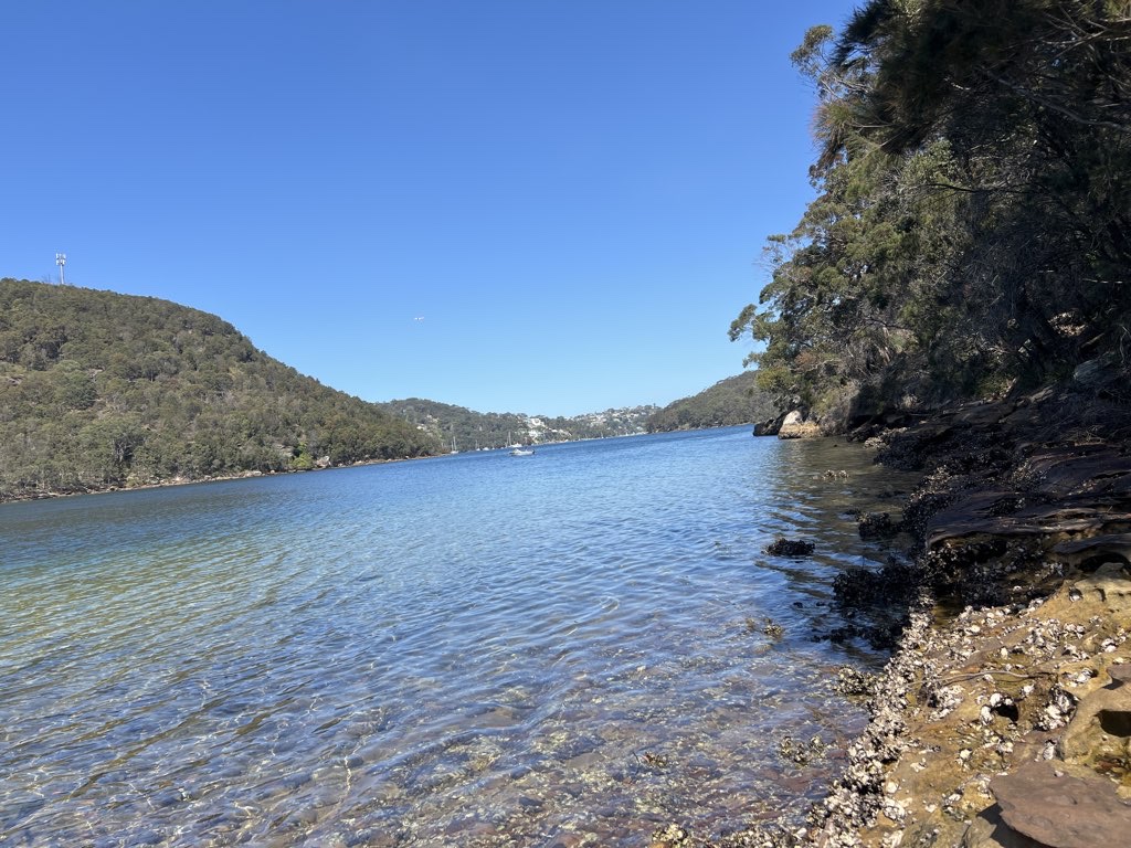 Killarney Bush Loop