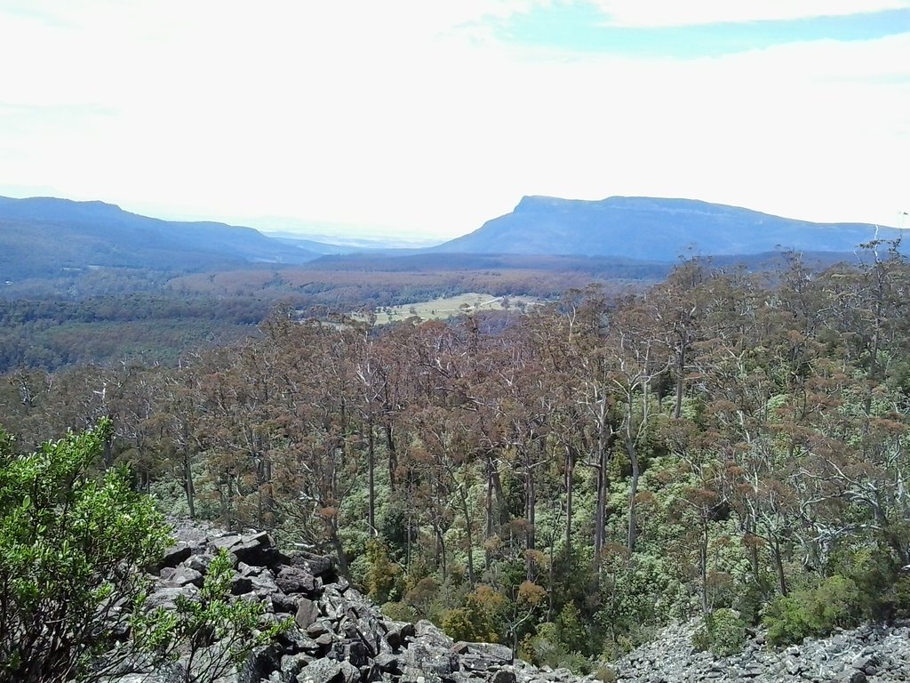 Quamby Bluff  Forest Reserve