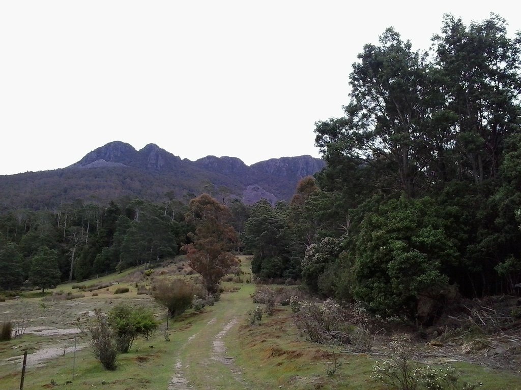 Quamby Bluff  Forest Reserve