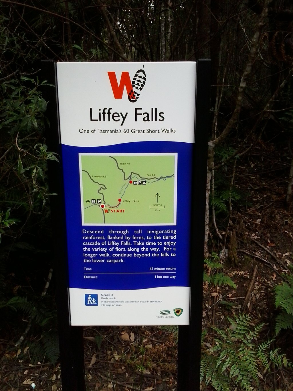 Liffey Falls