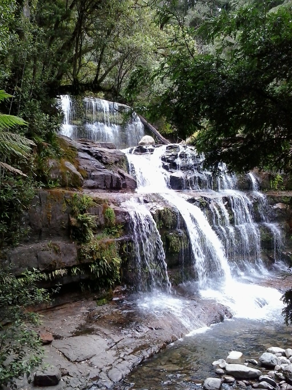 Liffey Falls