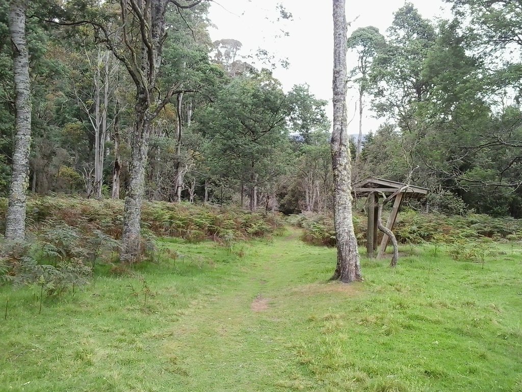 Liffey Falls